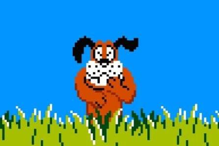 chien-duck-hunt