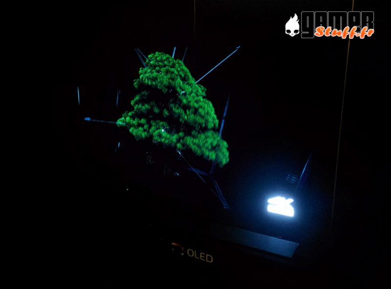 Salon Son et Image 2017 - Ecran Panasonic Oled